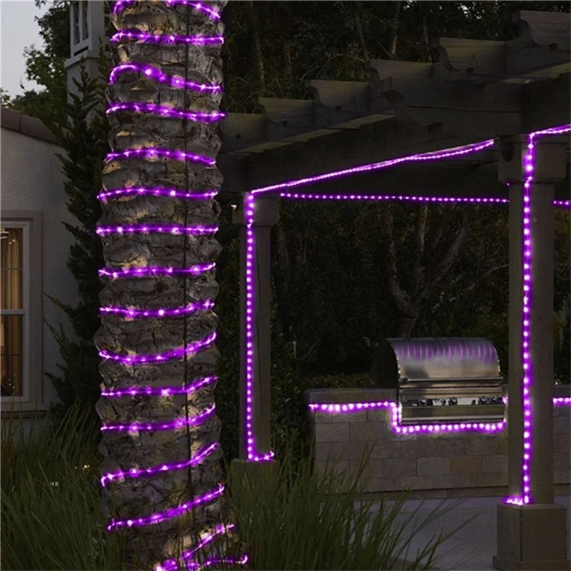 Solar Rope Lights Outdoor LED String Lights 8 Modes Garden Hose Lights Decorative Wedding Christmas Halloween Patio Porch Pool